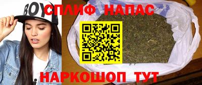 прущие грибы Волгодонск