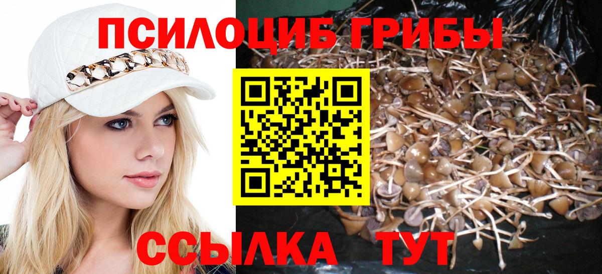 Галлюциногенные грибы прущие грибы Будённовск