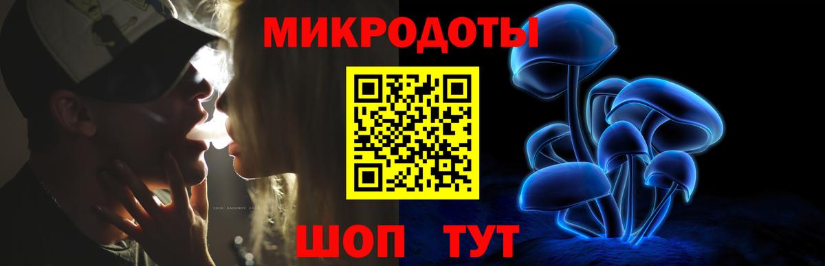 Будённовск  Галлюциногенные грибы прущие грибы  Вход с VPN 